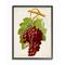 Stupell Industries Vintage Food Fruit Painting in Black Frame Wall Art